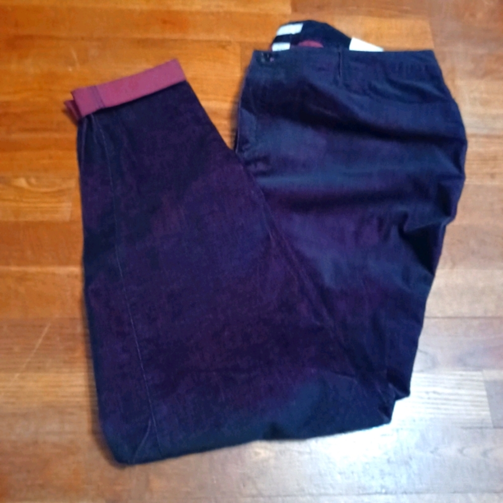 Plus size Cato's burgandy/purple pants